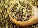 پیش بینی تولید بالغ بر 10 هزار تن در خراسان رضوی