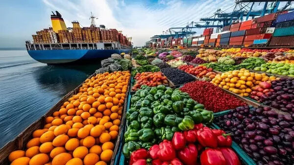 صادرات بیش از ۸۴۰۰ تن محصولات صیفی از شیراز به کشورهای همسایه
