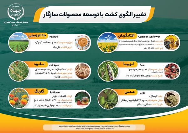 رونمایی از پوستر الگوی کشت در استان بوشهر 