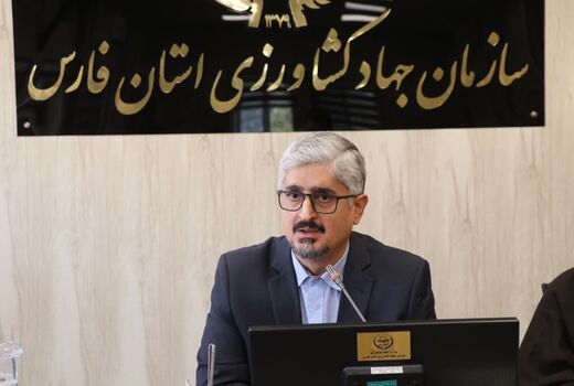 مشاغل کوچک و خانگی روستایی حمایت و تقویت می شوند 