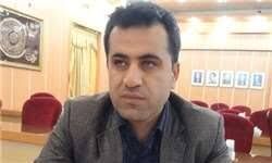 بذر مرغوب، محور اصلی پایداری تولید در کشاورزی
