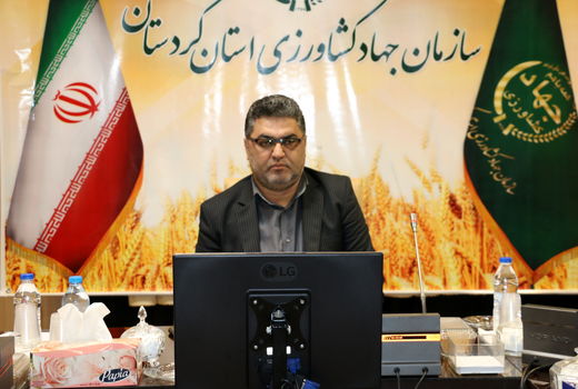 رفع تداخل و صدور اسناد مالکیت یک انقلاب در حوزه زمین است
