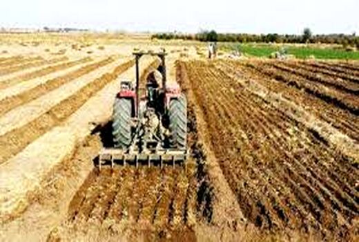 کشت 15 هزار هکتار از محصولات پاییزه در مزارع لالی