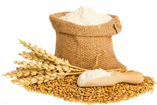 افزایش تولید گندم کیفی به دلیل بارش‌ها