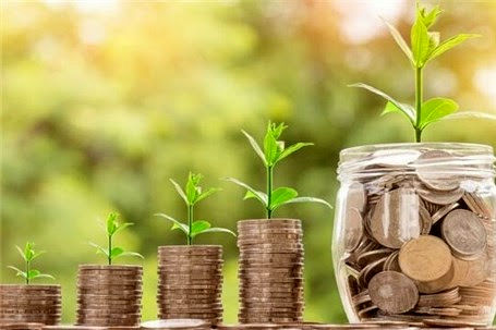 بیمه محصولات کشاورزی تضمینی  برای رونق تولید محصولات کشاورزی