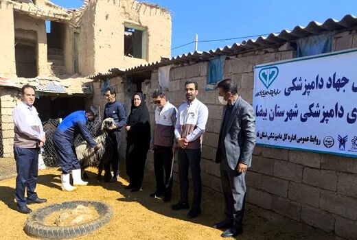 150 هزار خدمت رایگان به مناطق محروم بیضا با جهاد دامپزشکی