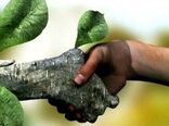 همیاران طبیعت یاوران افتخاری برای منابع طبیعی هستند