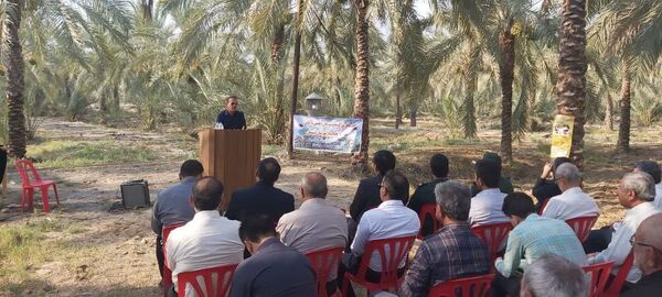 مانور مقابله با آفات چوبخوار خرما در دشتستان برگزار شد