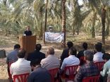 مانور مقابله با آفات چوبخوار خرما در دشتستان برگزار شد