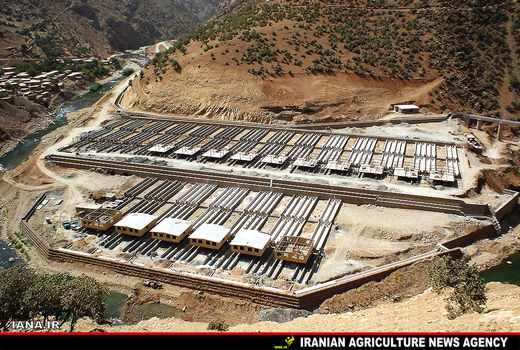 حوضچه پرورش ماهی 