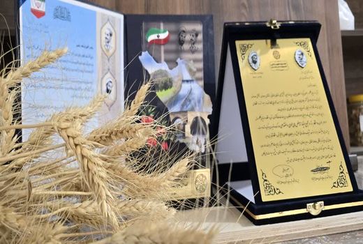 کسب عنوان دستگاه برتر در بیست و هشتمین جشنواره شهید رجایی برای جهاد کشاورزی چهارمحال بختیاری 