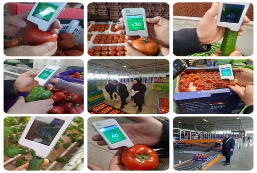 نیترات سنجی محصولات تولیدی به منظور ارتقای تولید محصولات سالم گیاهی در جلفا