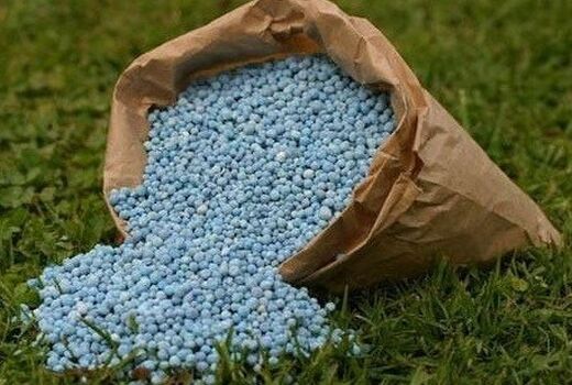 ارسال 161 هزار تن کود اوره به 26 استان کشور از پتروشیمی شیراز / توزیع 57 هزار تن کود اوره در فارس