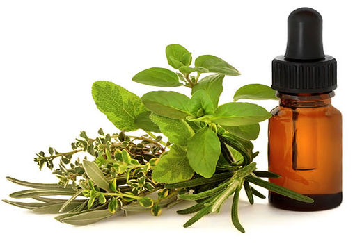 ورود گیاهان دارویی خارجی به ایران ممنوع می‌شود