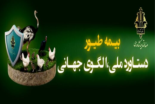پوشش بیمه ای ۱.۸ میلیارد قطعه طیور و پرداخت ۳۳۰۰ میلیارد ریال خسارت در سال ۱۴۰۴ / پایداری تولید در زنجیره تأمین پروتئین کشور