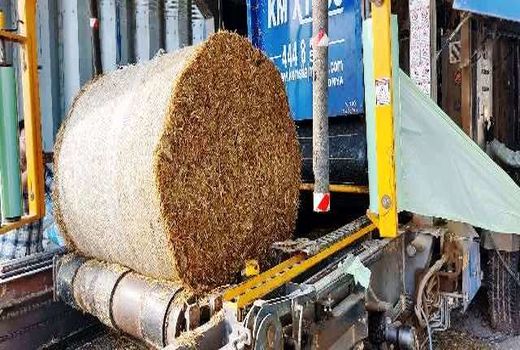 تولید اقتصادی گوشت قرمز بدون مصرف ذرت و کنجاله سویا