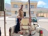 پایش کانونهای ملخ مراکشی در منطقه طارم قزوین و نصب سمپاش ULV 