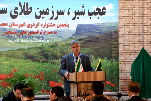 تولید 20 هزار تن گردو از باغات آذربایجان شرقی/ عجب‌شیر پیشتاز تولید گردو در استان