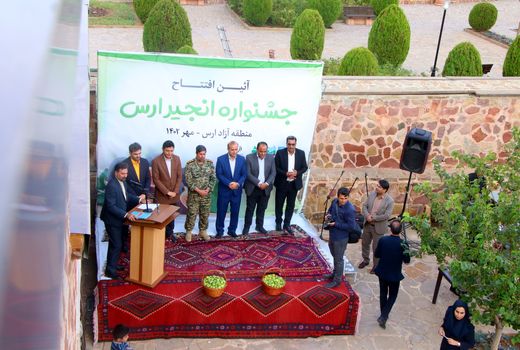 رتبه نخست شهرستان جلفا در تولید انجیر / برداشت 1500 تن انجیر