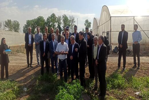 بازدید معاونان وزیر جهاد کشاورزی از مزرعه تولید بذر سبزی و صیفی مرکز آموزش عالی امام خمینی(ره)
