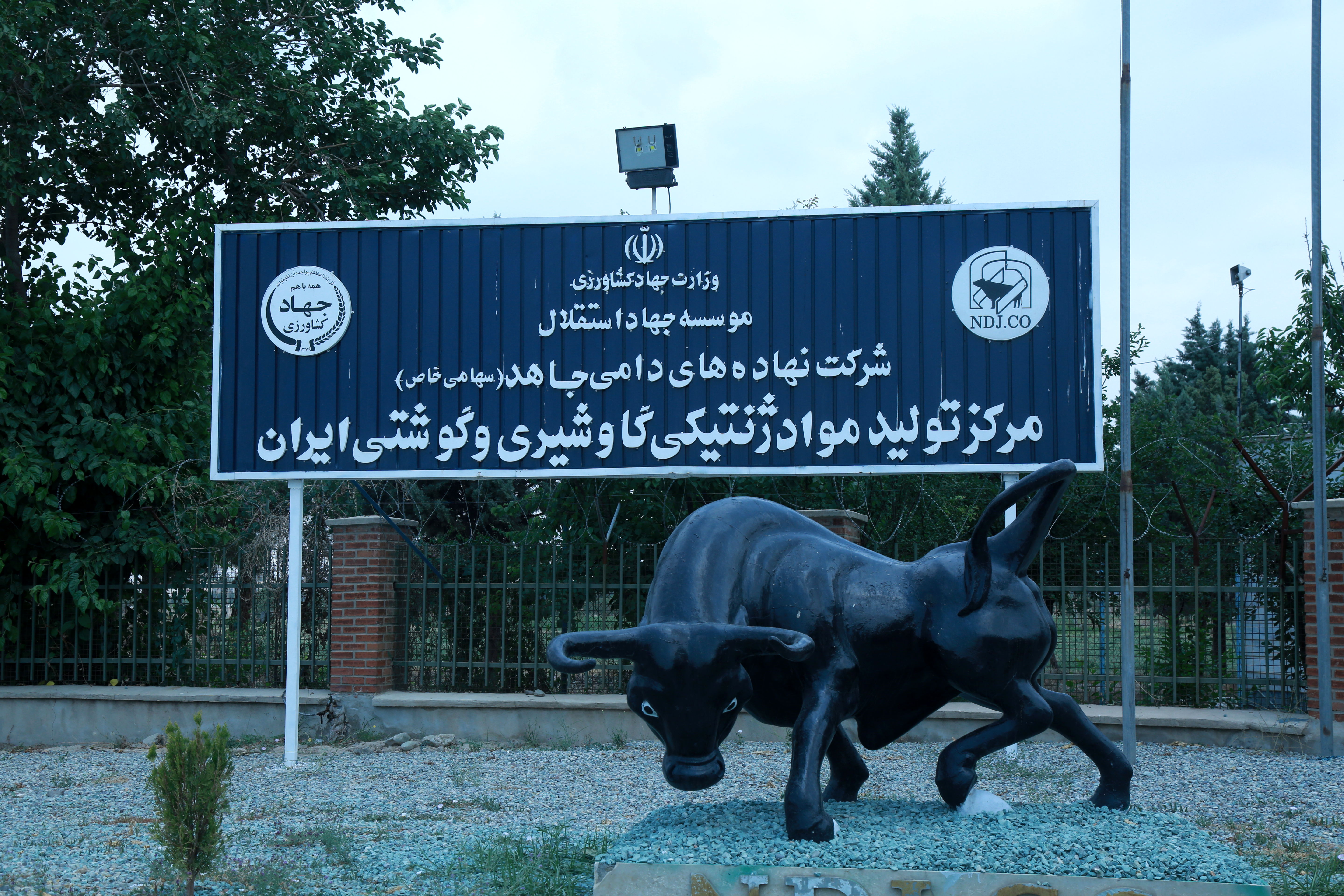   مرکز ملی ژنتیک دامی   