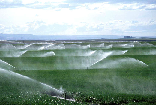 تجهیز 12 هزار هکتار از اراضی کشاورزی استان تهران به سیستم‌های نوین آبیاری