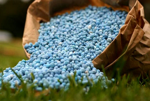 محصولات کشاورزی استان از نظر سلامت در جایگاه ویژه‌ای قرار دارند