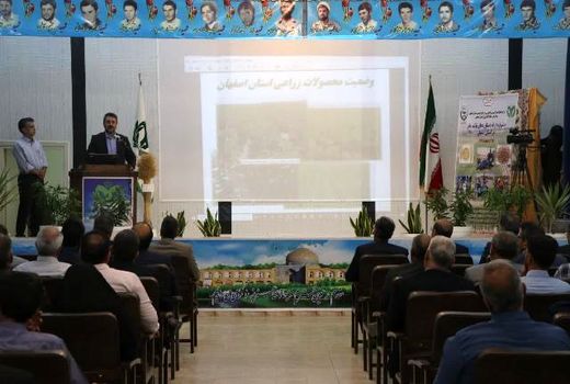 تولید بذور با کیفیت بالا در استان اصفهان