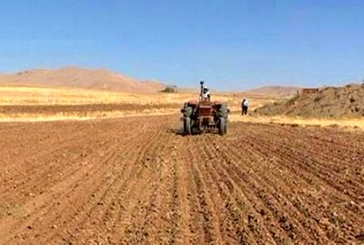 ۱۱ هزار تن بذر با آغاز کشت گندم در بوشهر تامین شد
