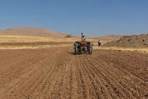۱۱ هزار تن بذر با آغاز کشت گندم در بوشهر تامین شد

