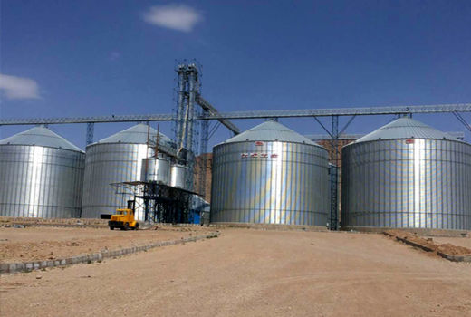 تولید بیش از 4 هزار تن غلات در نی ریز