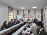 بررسی ۳۳ پرونده در کمیته فنی مشاورتی طرح‌های زیر بخش کشاورزی در‌ استان قزوین
