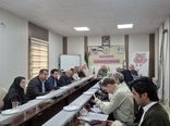 بررسی ۳۳ پرونده در کمیته فنی مشاورتی طرح‌های زیر بخش کشاورزی در‌ استان قزوین