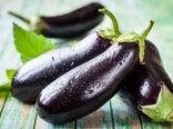 صادرات هزار میلیارد تومانی دومین صادر کننده بزرگ بادمجان