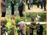  کنترل بیماری سفیدک سطحی انگور در شهرستان بجنورد