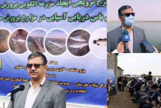 پرورش ماهی سی باس در پسابهای کشاورزی