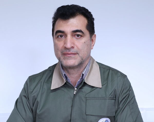نیازمند توقف تاسیس کارخانه‌های جدید چوب هستیم