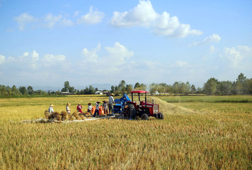 افزایش بیش از دو برابری جذب تسهیلات مکانیزاسیون سرعین