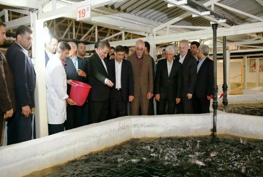 فاز یک و دو طرح توسعه مزرعه ماهی سرای کرج افتتاح شد