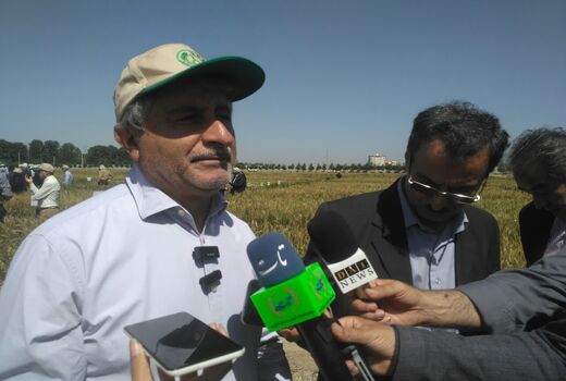 خودکفایی پایدار در تولید گندم و شکر امکان پذیر است