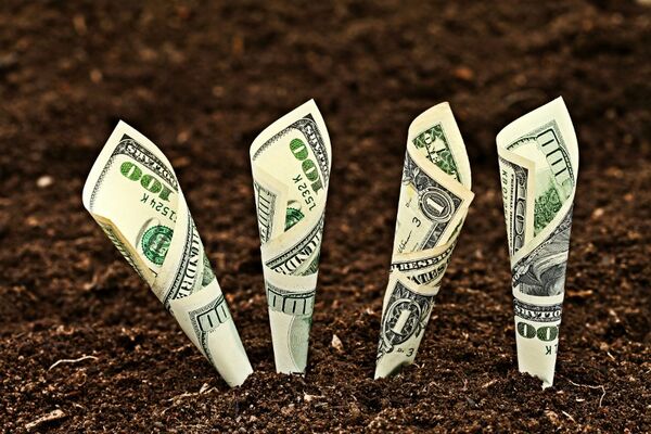 تأخیر در تک‌نرخی کردن ارز، پایه‌های اقتصاد کشاورزی را می‌لرزاند