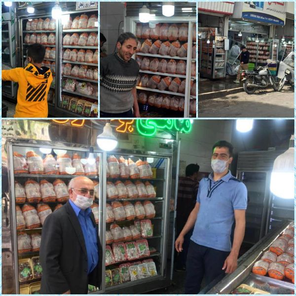 بیش از ۳۳۱ هزار قطعه مرغ در بازار قزوین توزیع شد
