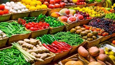 فراخوان شرکت‌های دانش بنیان برای ارتقای امنیت غذایی کشور