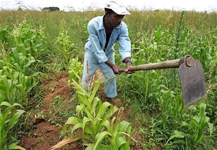 افزایش بهره‌وری مولفه مهم تامین امنیت غذایی است