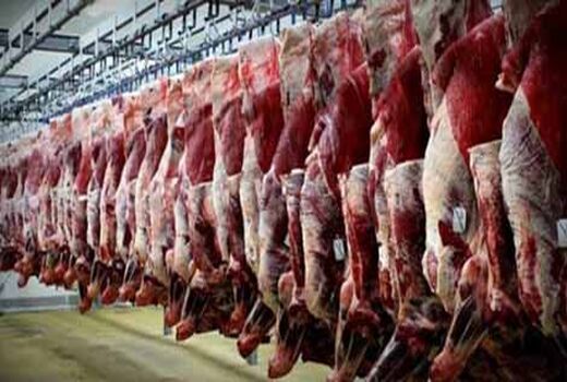 سالانه ۴ هزار تن گوشت قرمز توسط عشایر نهاوند تولید می شود