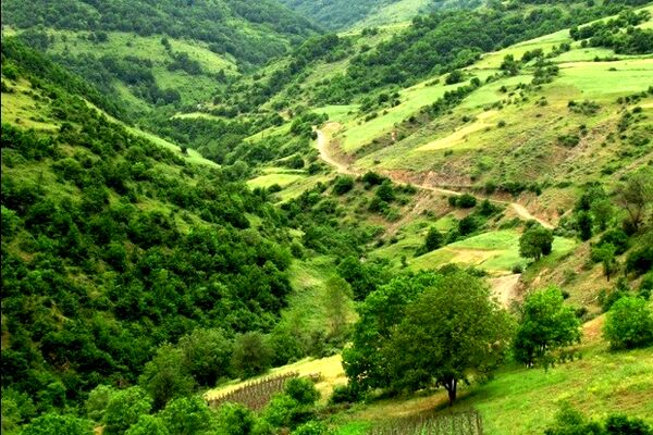7 میلیارد ریال برای حفاظت از منابع طبیعی آذربایجان غربی اختصاص یافت