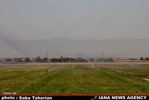 آبیاری بارانی