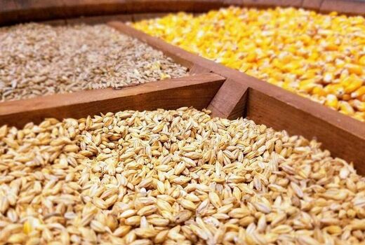 قیمت نیمایی نهاده های ذرت، جو و‌ کنجاله سویا در سامانه بازارگاه اعلام شد