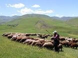 نقش چوپان در مدیریت مراتع