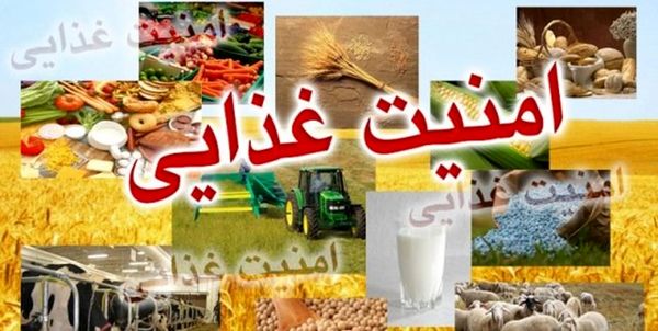 ضرورت توزیع هدفمند کالاهای اساسی در سطح بازار استان